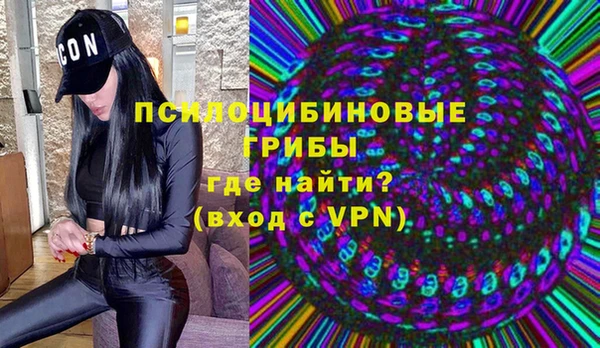 PSILOCYBIN Балахна