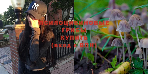хмурый Белокуриха