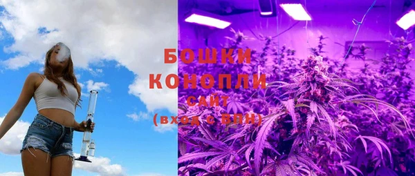 PSILOCYBIN Балахна