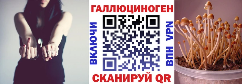 блэк спрут ссылка  Сланцы  Псилоцибиновые грибы Psilocybe  купить наркотик 